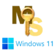 Программное средство для активации операционной системы Windows 11